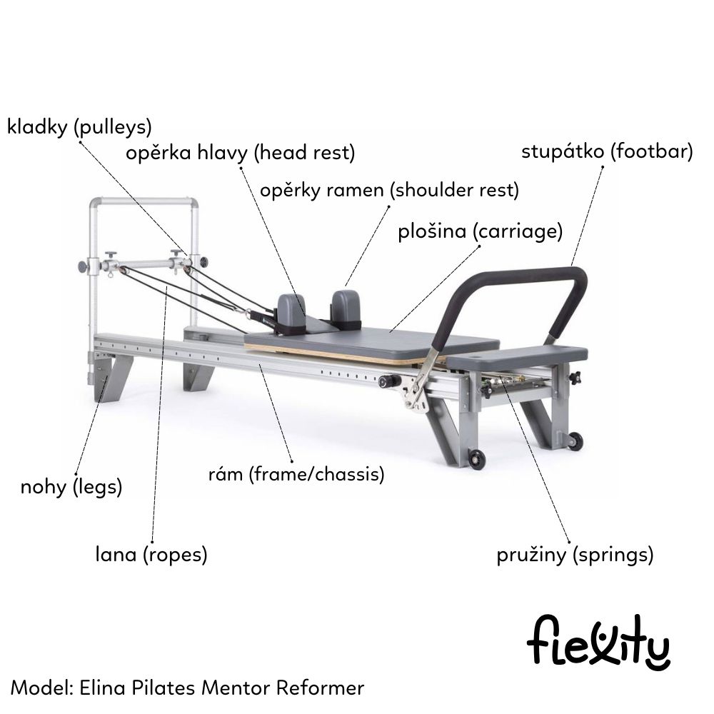 elina reformer anatomie